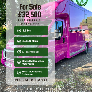 Pink pre-loved classic horsebox for sale horsebox is built on a 2019 chassis